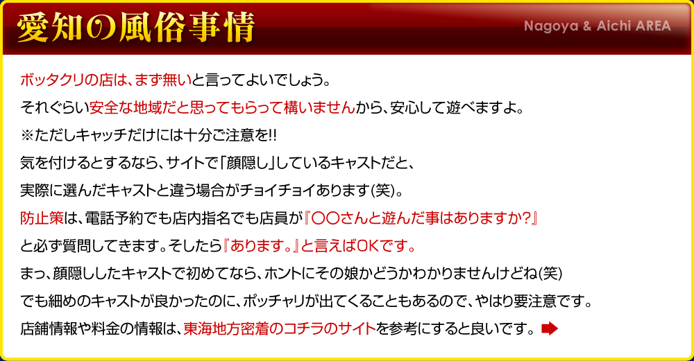 愛知の風俗事情